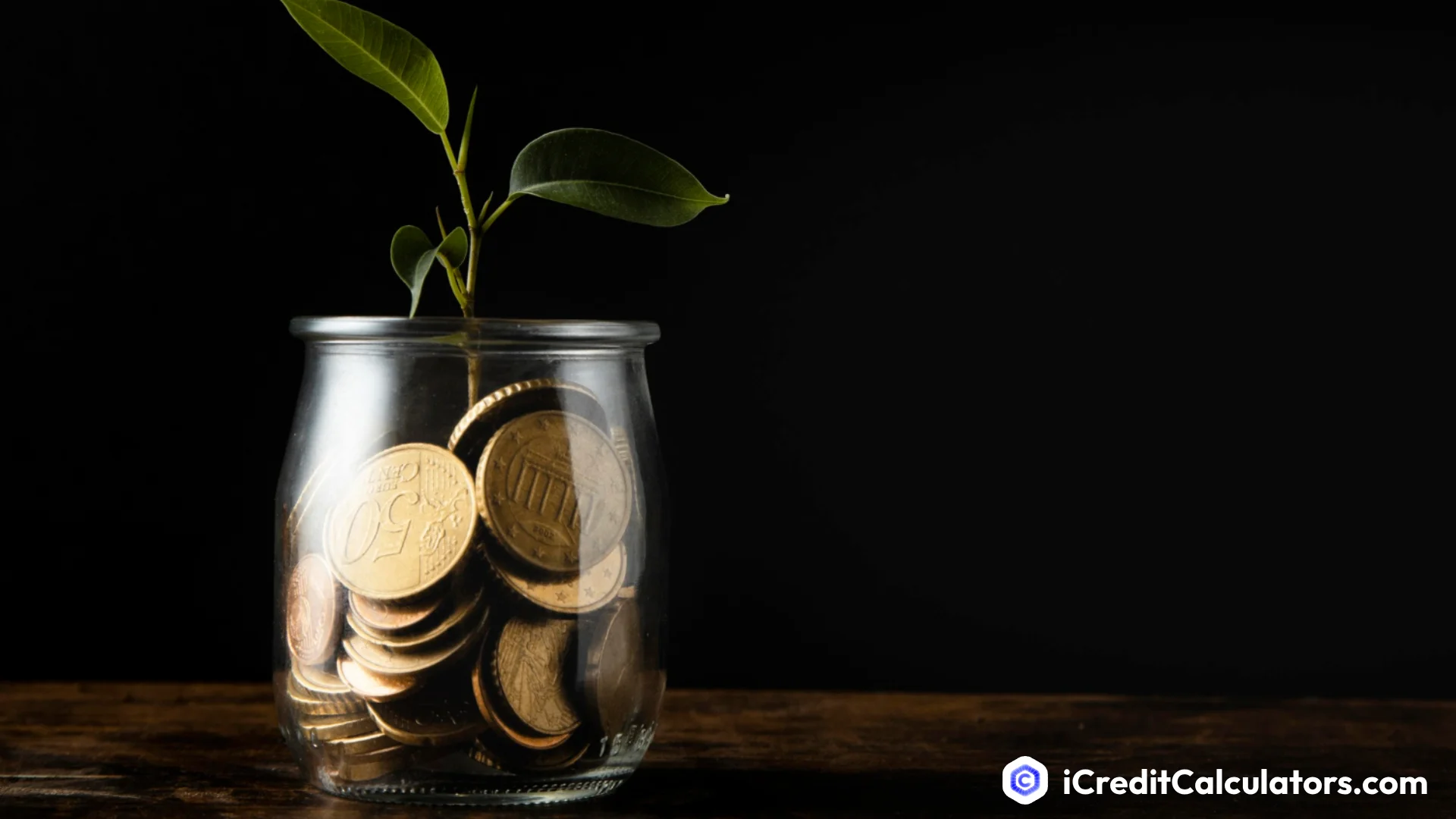 Net Worth Calculator: Am I on Track for My Age?
